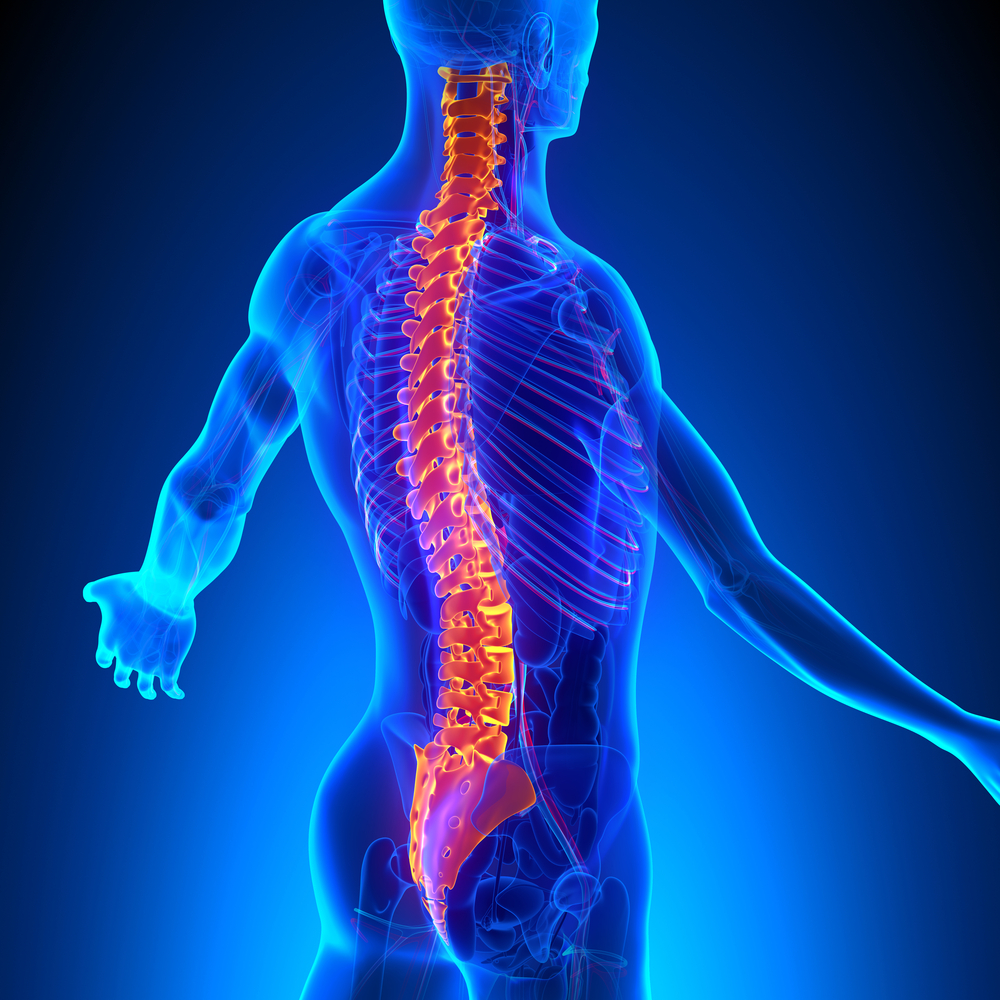 How Chiropractic Care Can Benefit Children